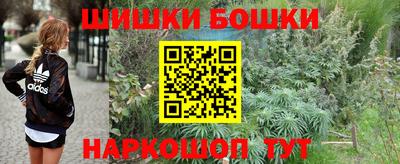 МДПВ Аша