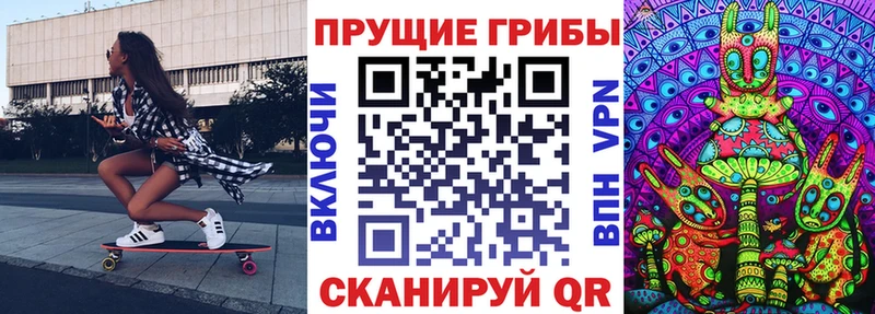 OMG ссылки  Зеленодольск  Псилоцибиновые грибы GOLDEN TEACHER 
