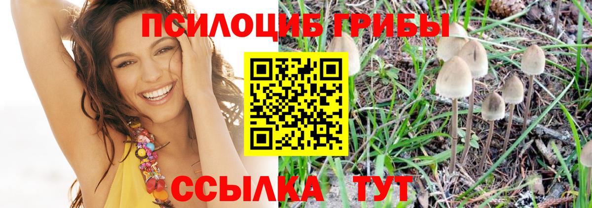 Псилоцибиновые грибы MAGIC MUSHROOMS Зеленодольск