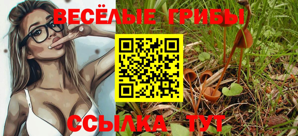 Псилоцибиновые грибы ЛСД  Вход с VPN  Зеленодольск 